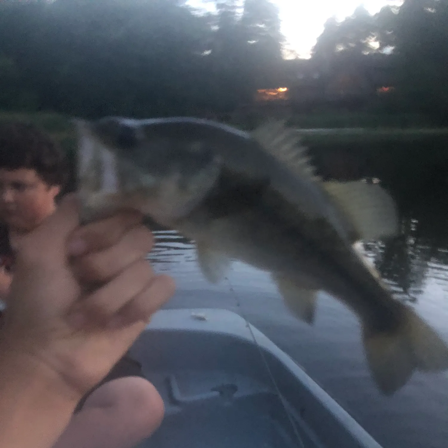 Fish caught on Fishbrain