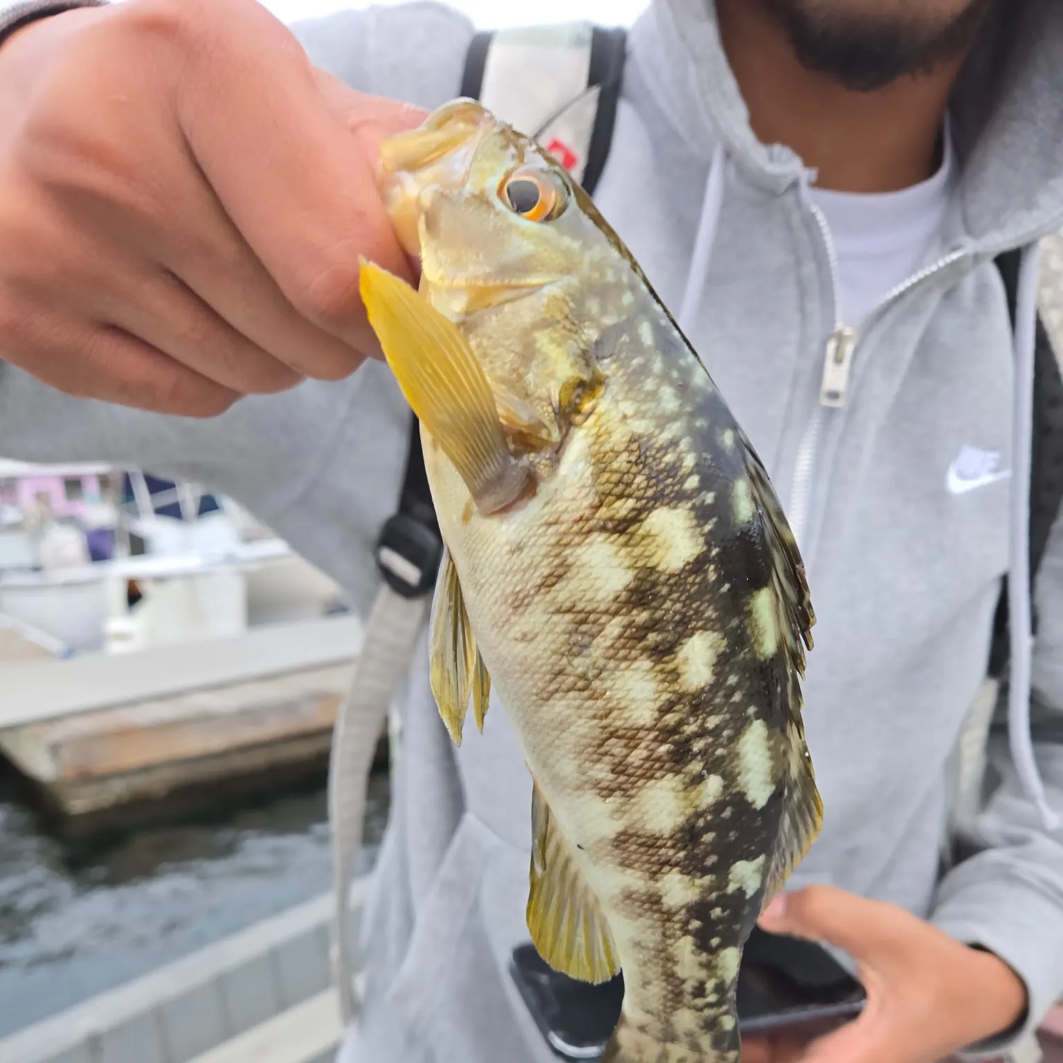 catch