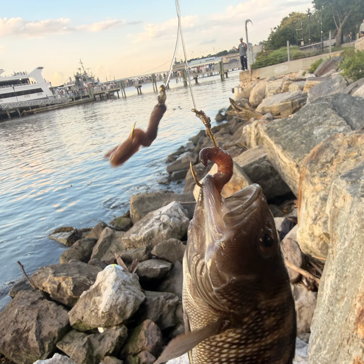 catch