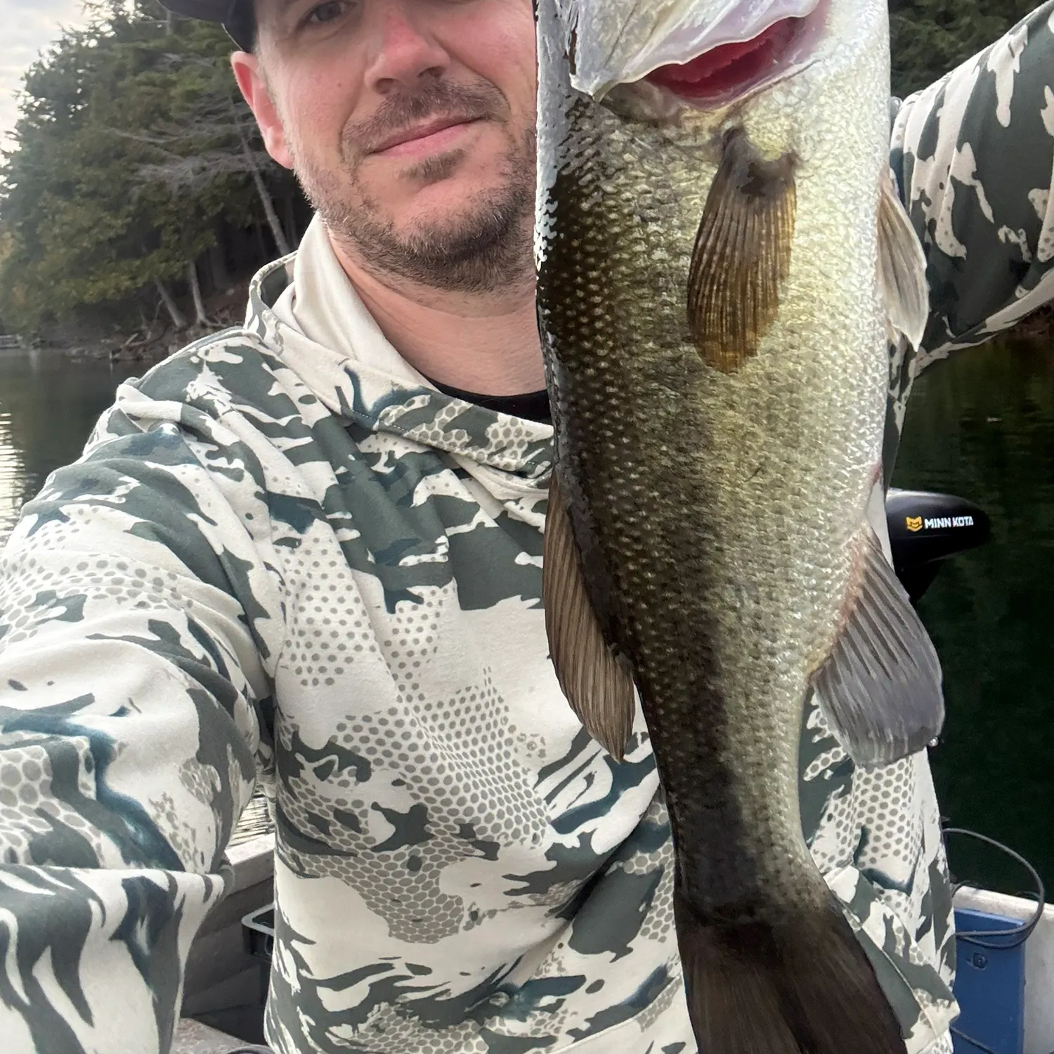 Largemouth bass caught on Fishbrain