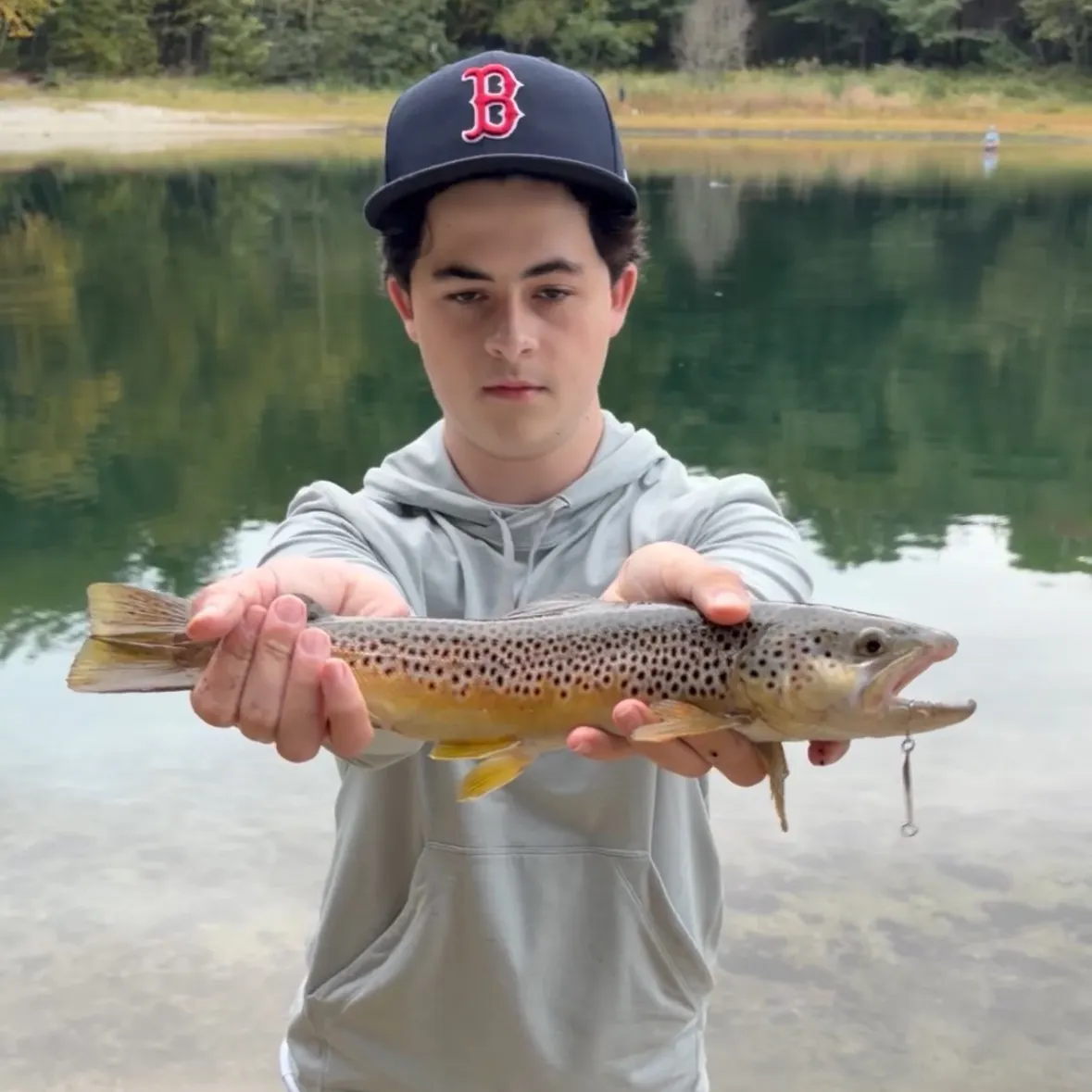 Brown trout caught on Fishbrain
