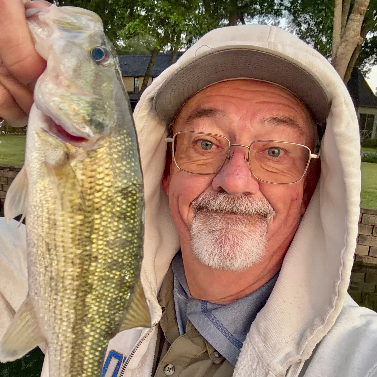 Spotted bass caught on Fishbrain