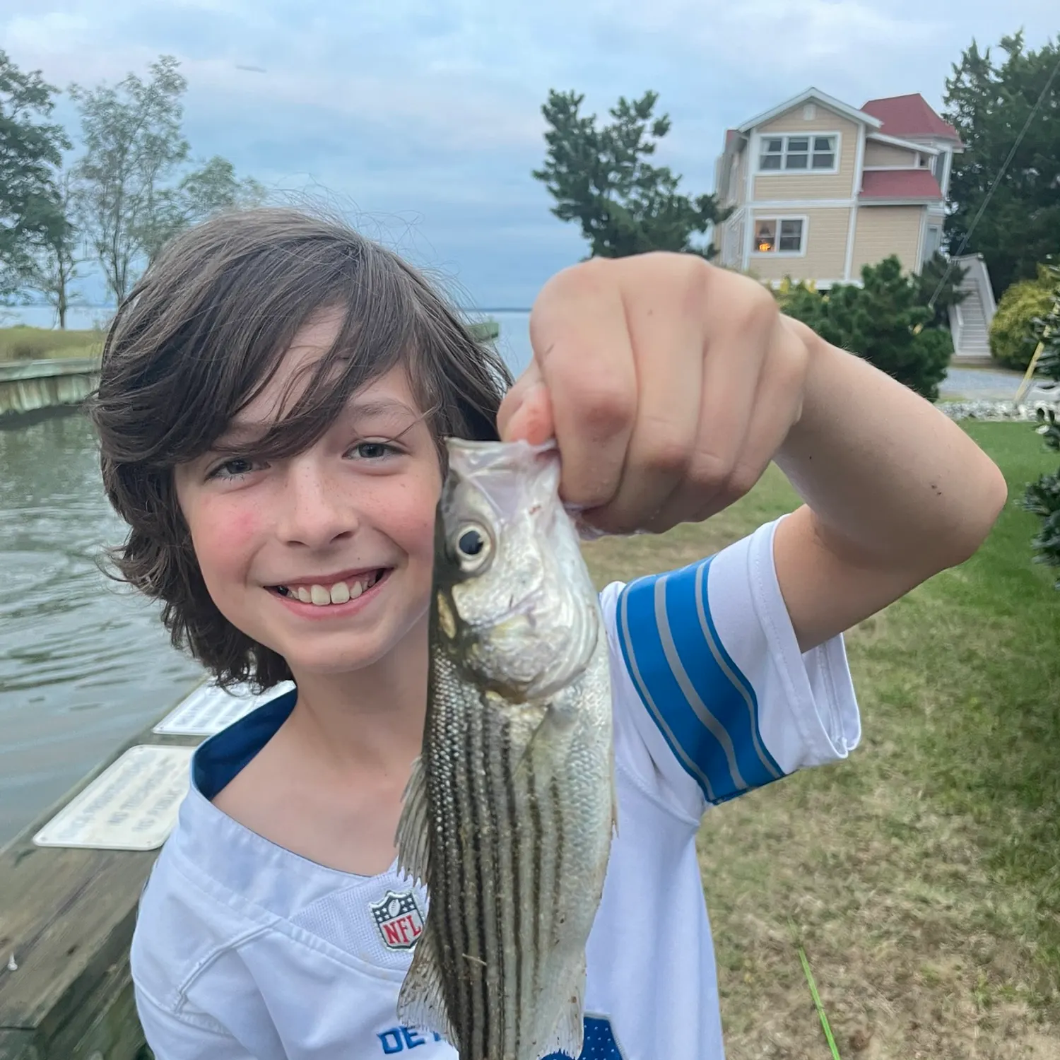 Striped bass caught on Fishbrain