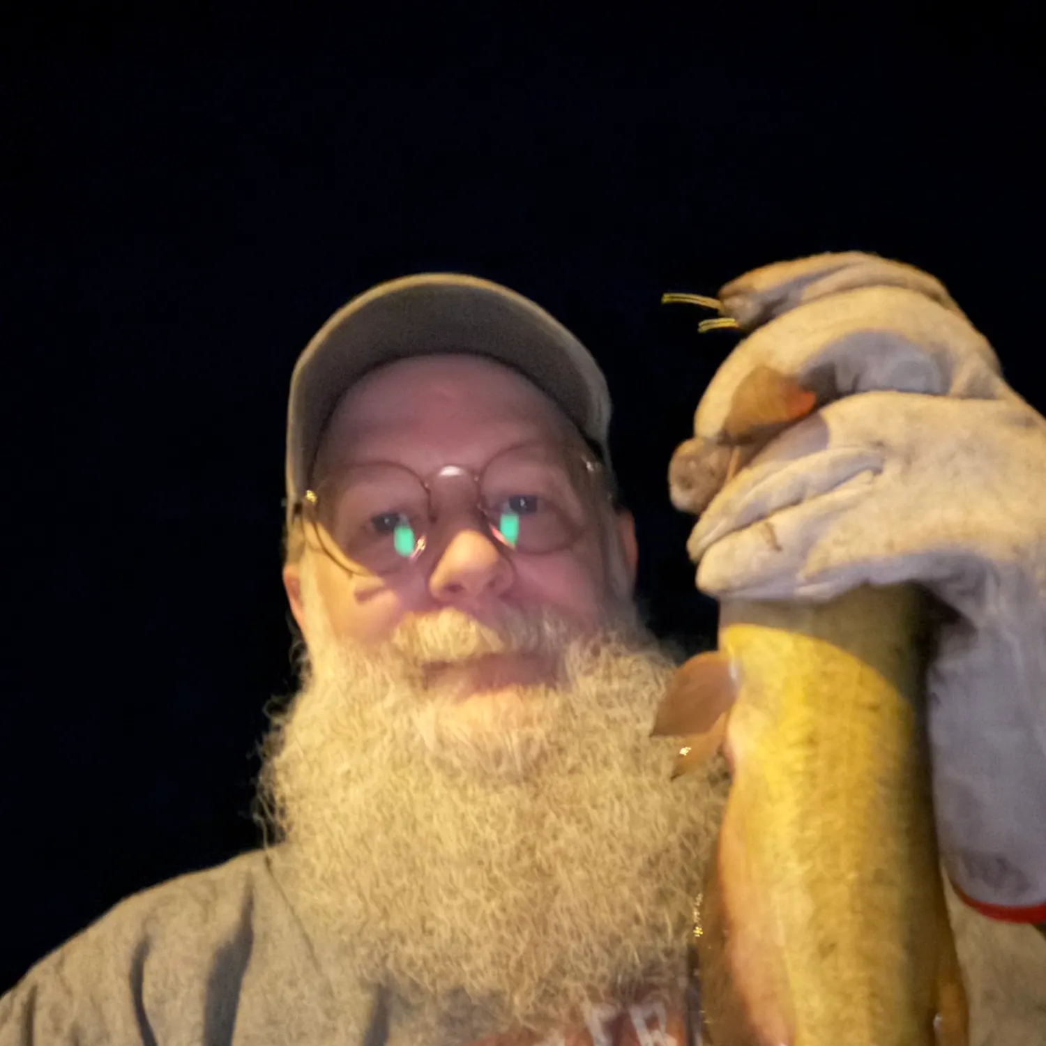 Yellow bullhead caught on Fishbrain