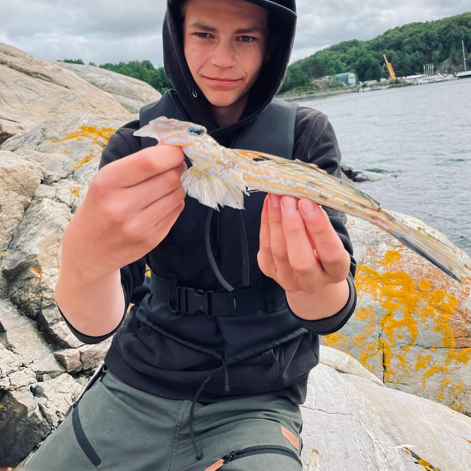 The most recent Common dragonet catches on Fishbrain