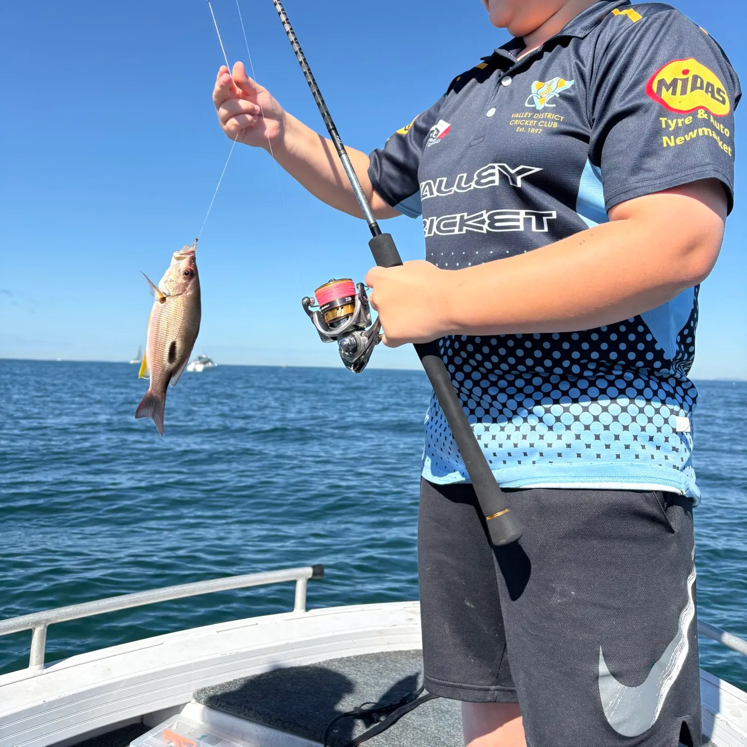 The most recent Moses perch catches on Fishbrain
