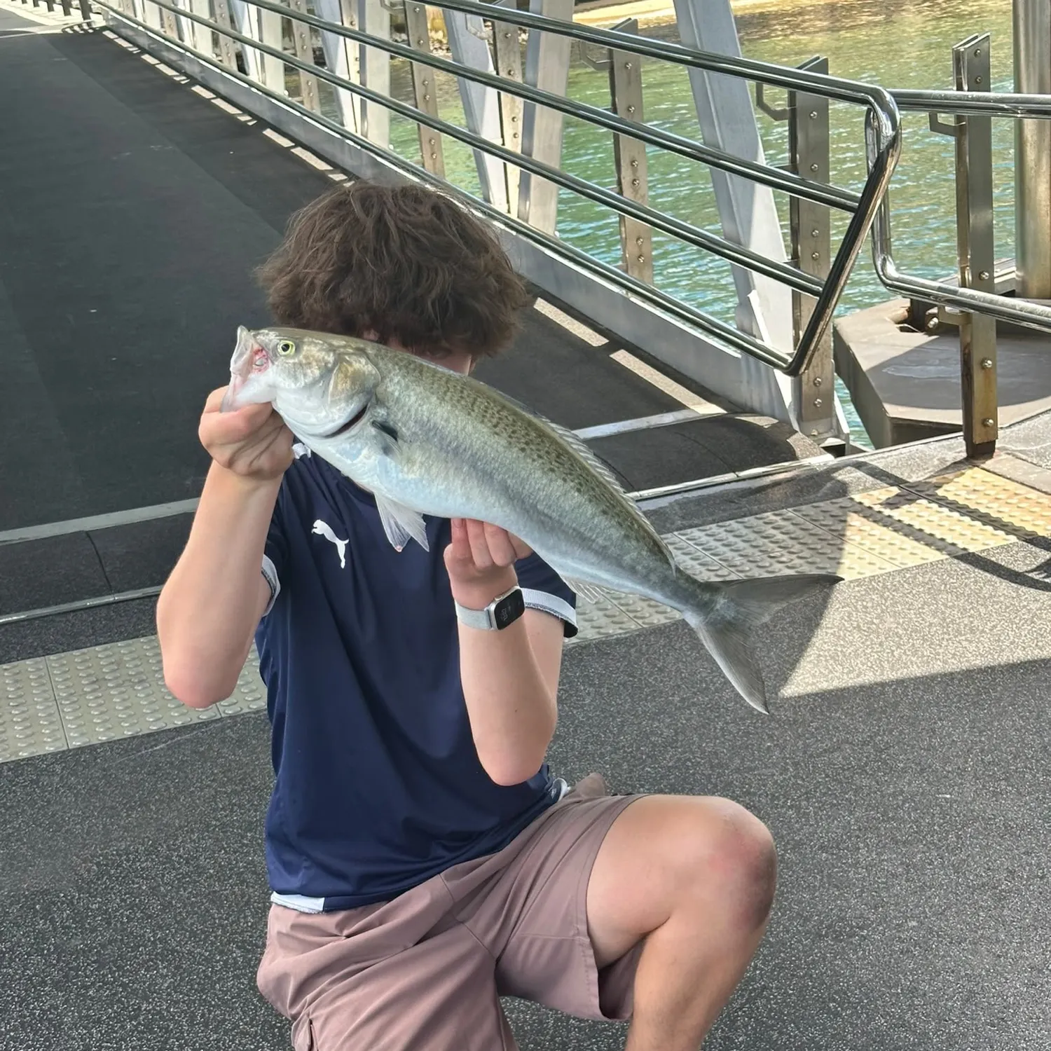Eastern Australian salmon caught on Fishbrain