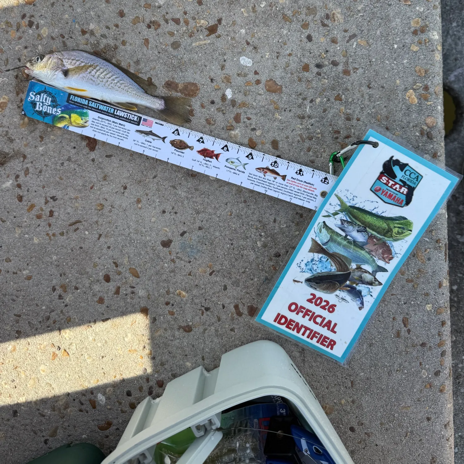 The most recent Atlantic croaker catches on Fishbrain