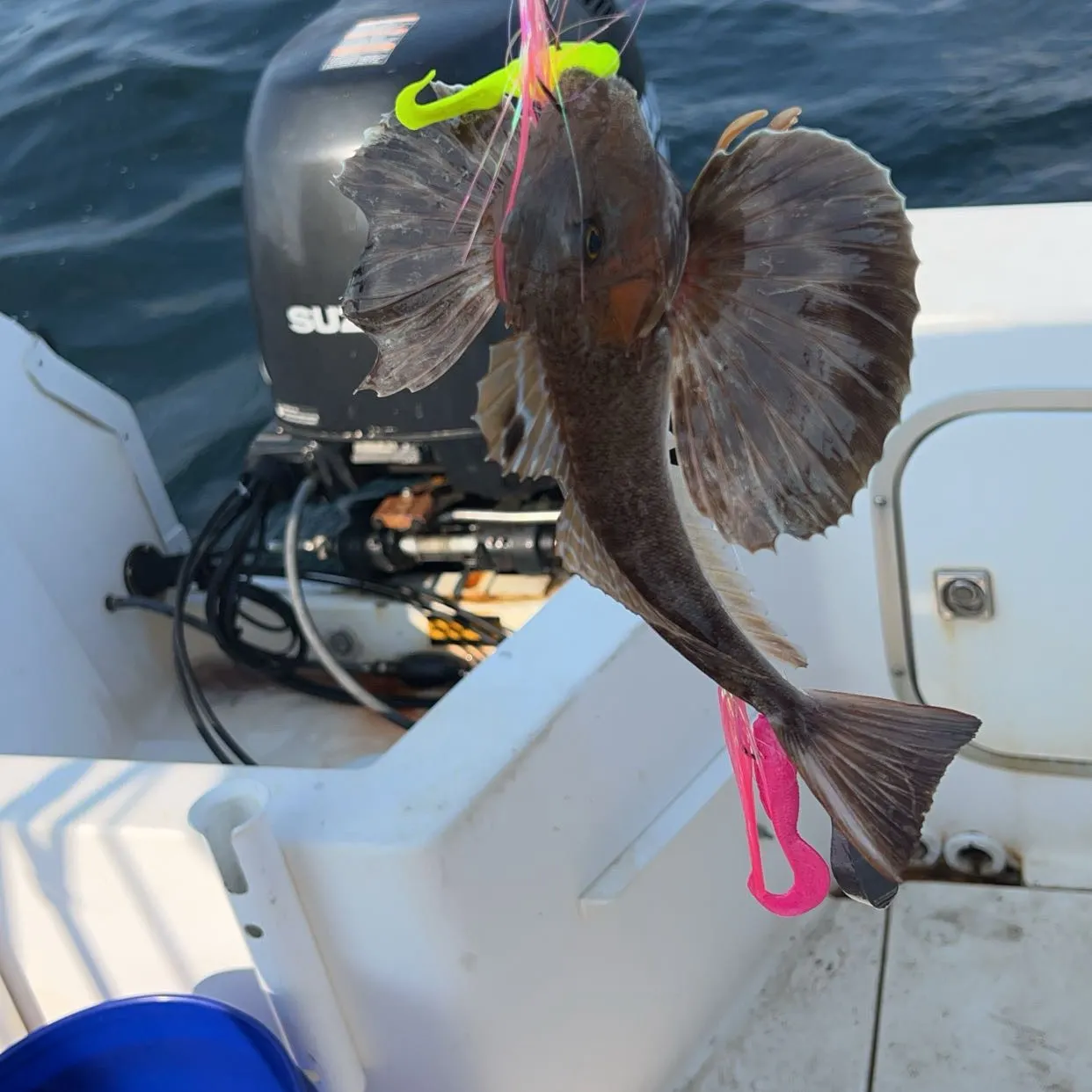 most liked catch image