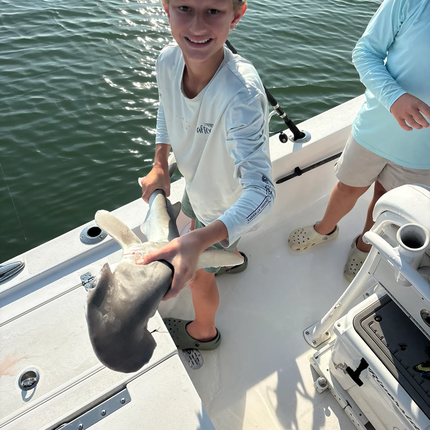 Scalloped hammerhead shark caught on Fishbrain