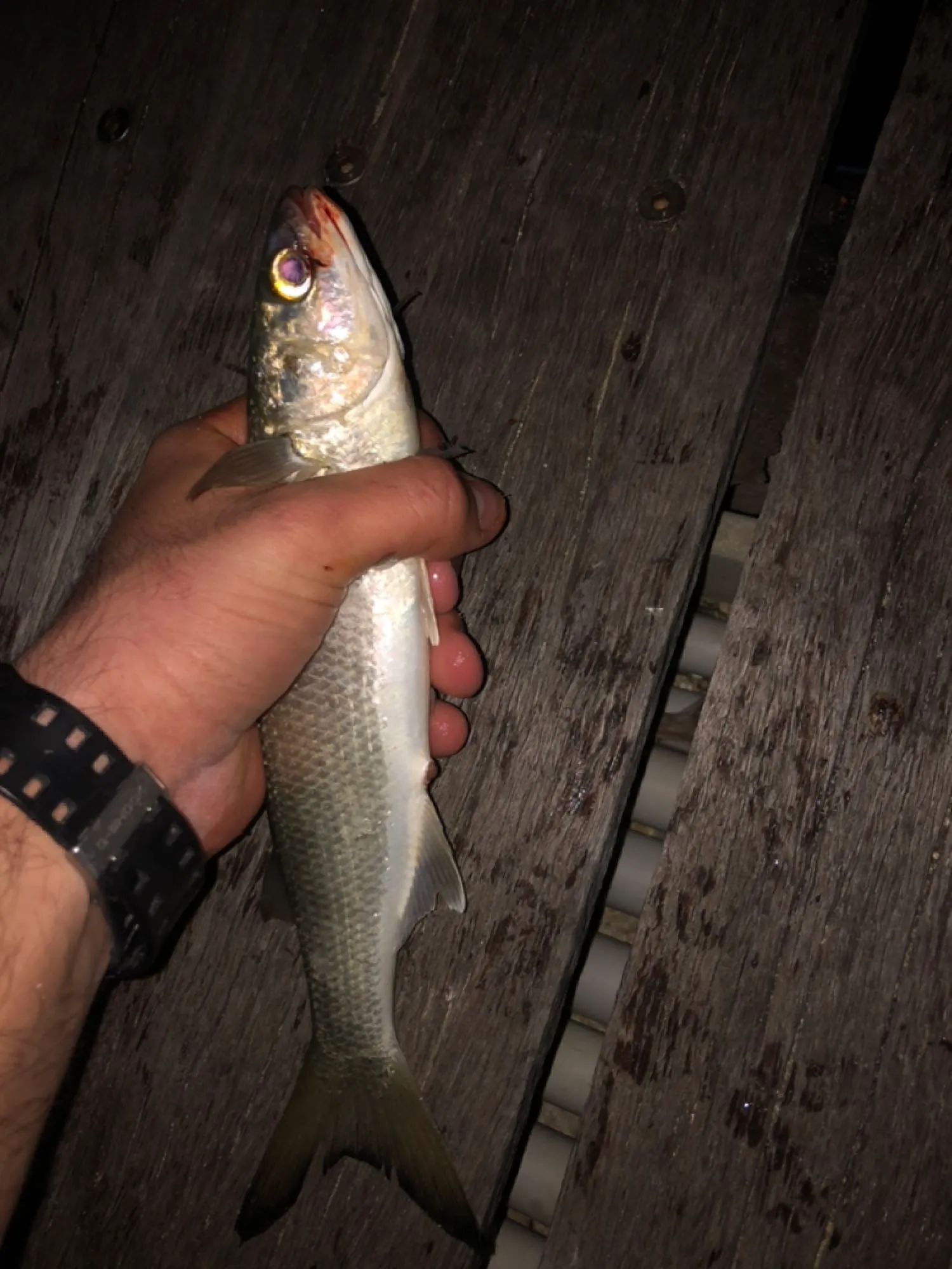 Post image from Fents