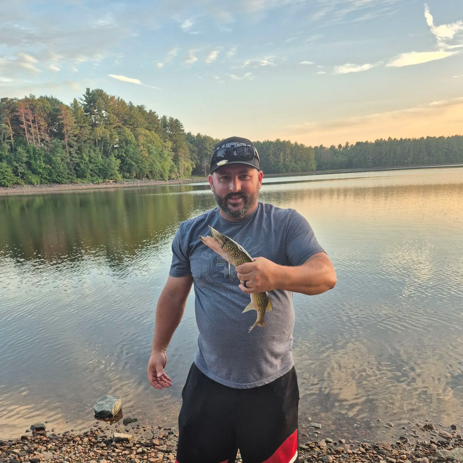 Chain pickerel caught on Fishbrain