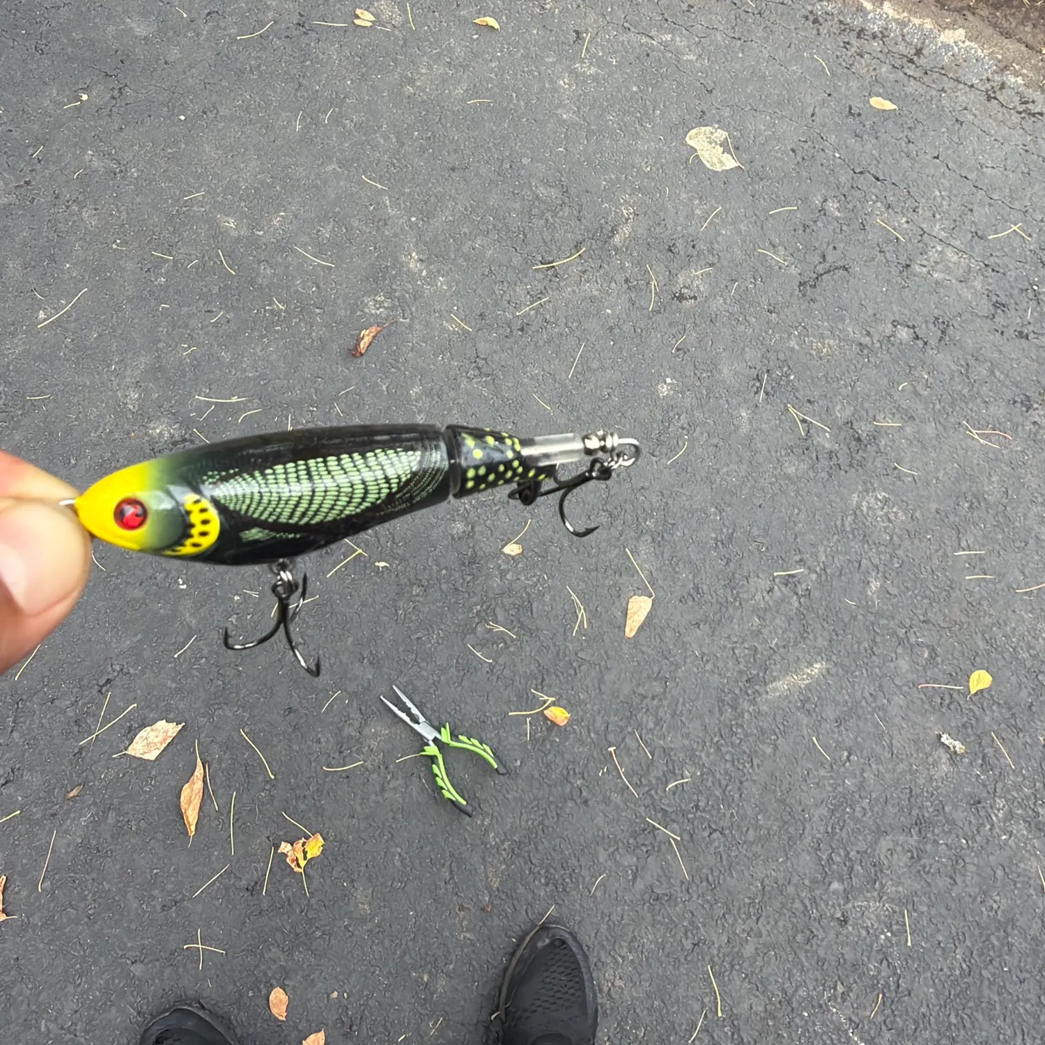 Fish caught on Fishbrain