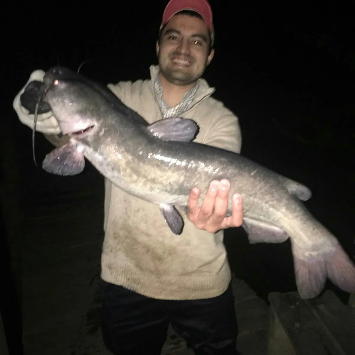 Channel catfish caught on Fishbrain