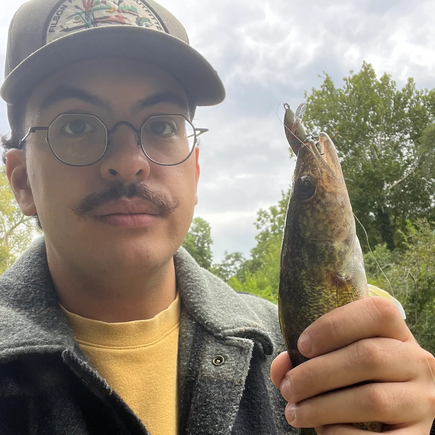 Walleye caught on Fishbrain