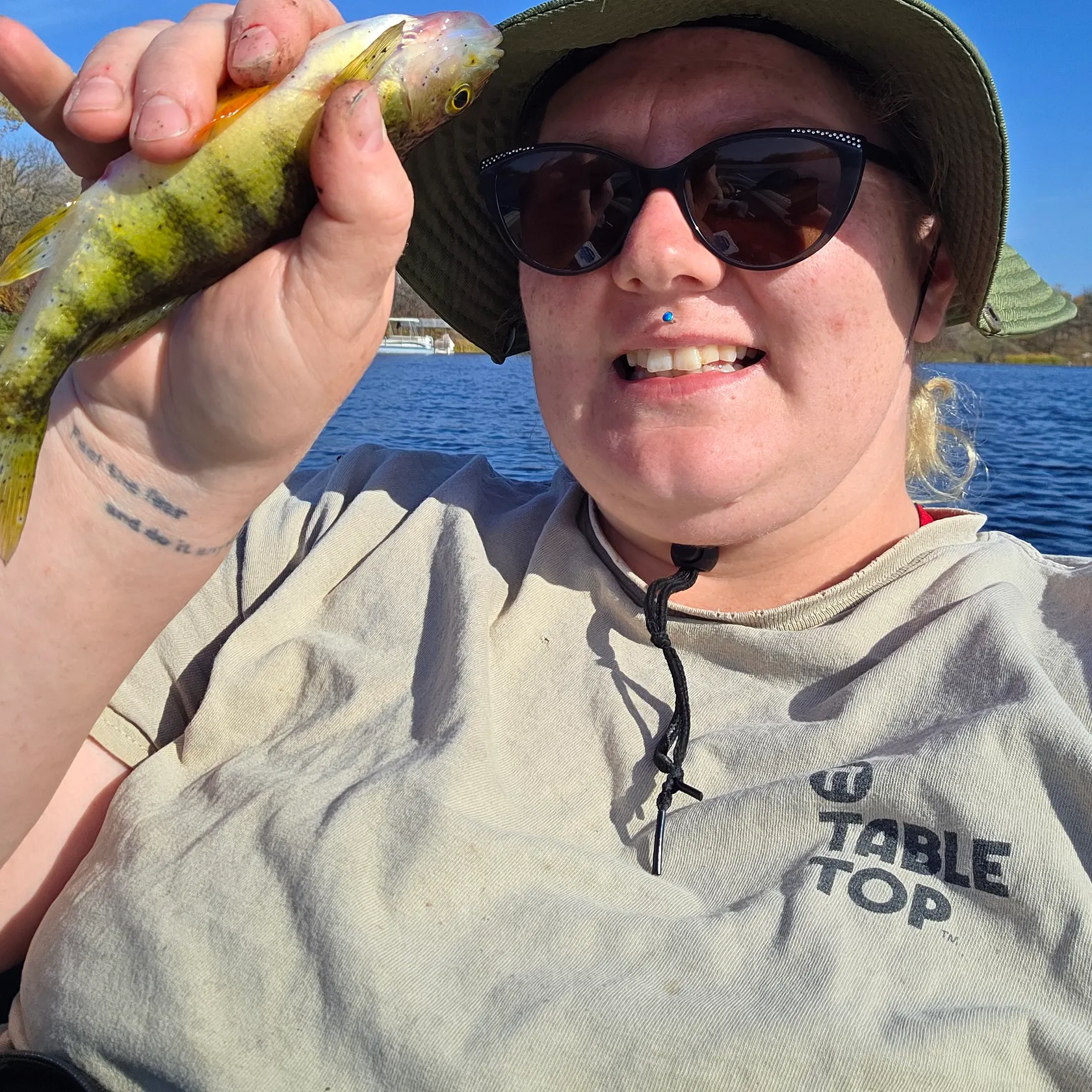 Yellow perch caught on Fishbrain