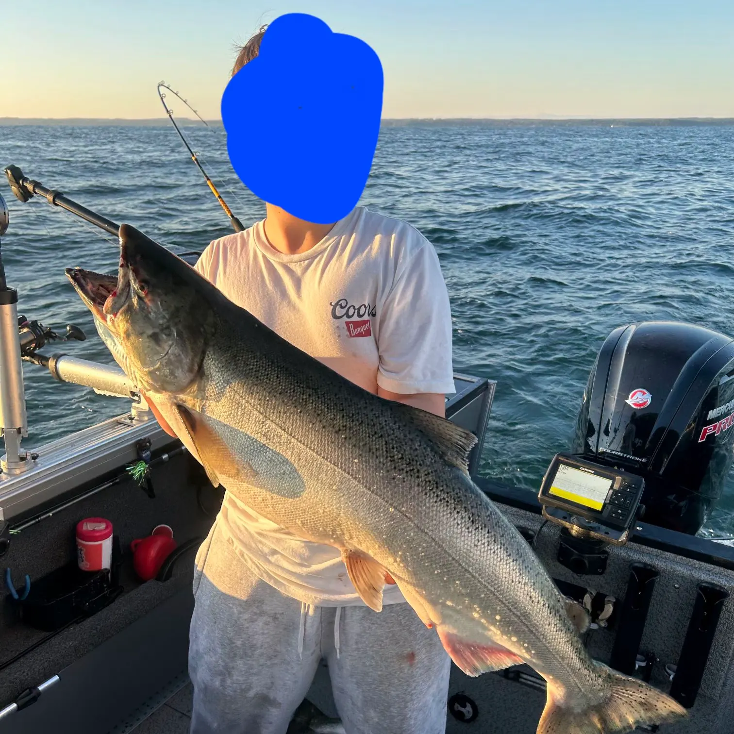 Chinook salmon caught on Fishbrain
