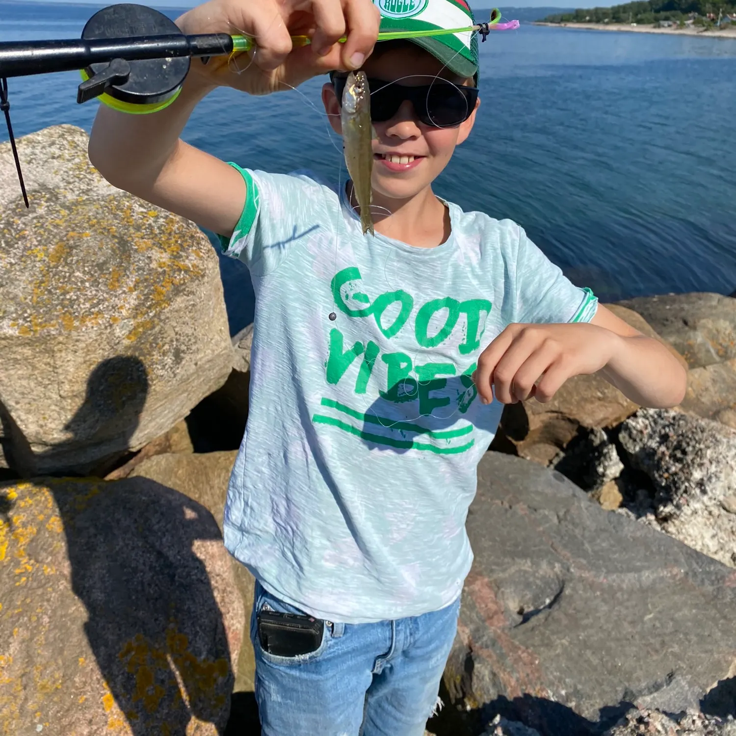 The most recent Poor cod catches on Fishbrain