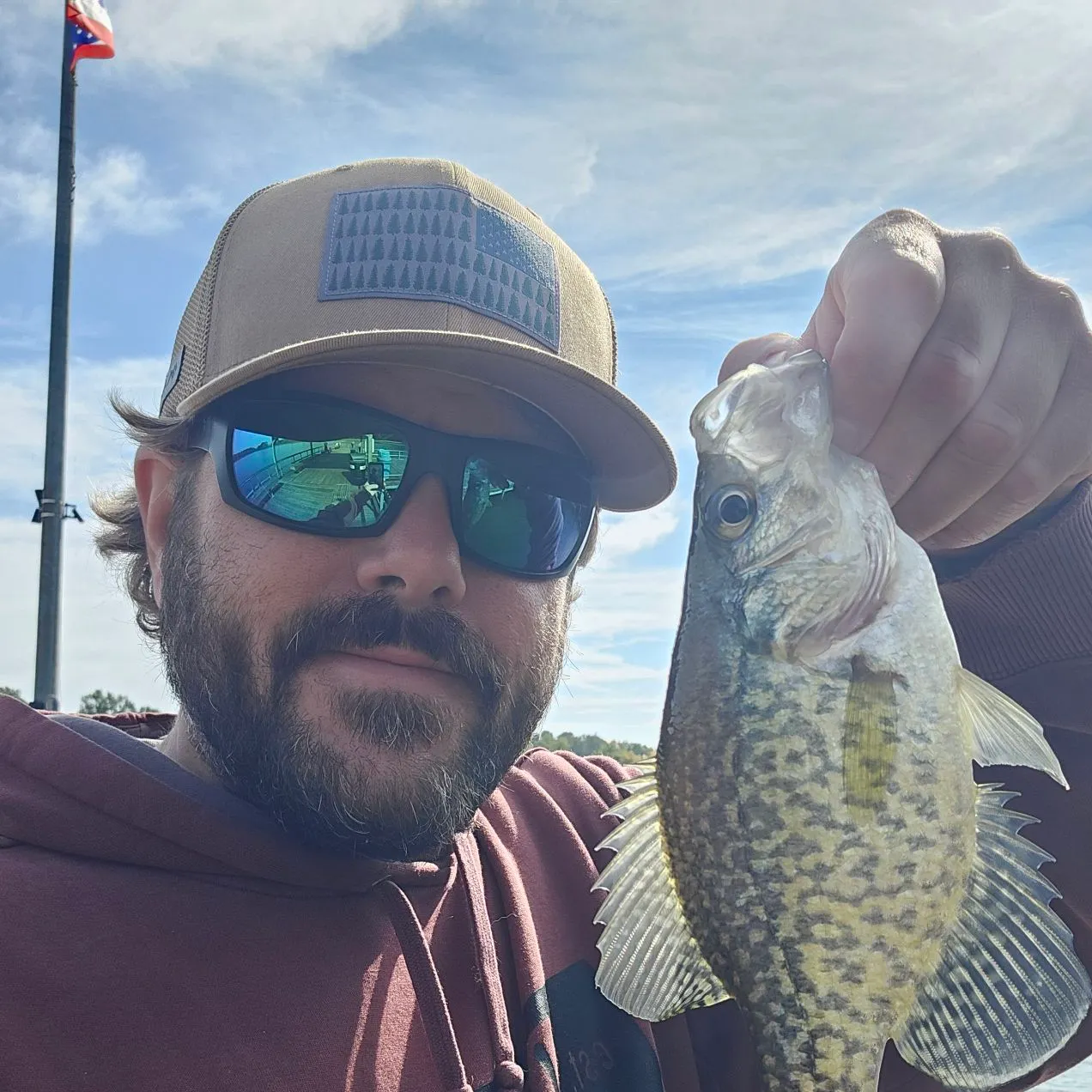Black crappie caught on Fishbrain