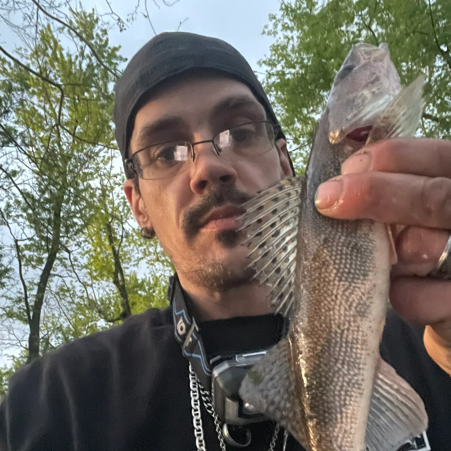 Sauger caught on Fishbrain