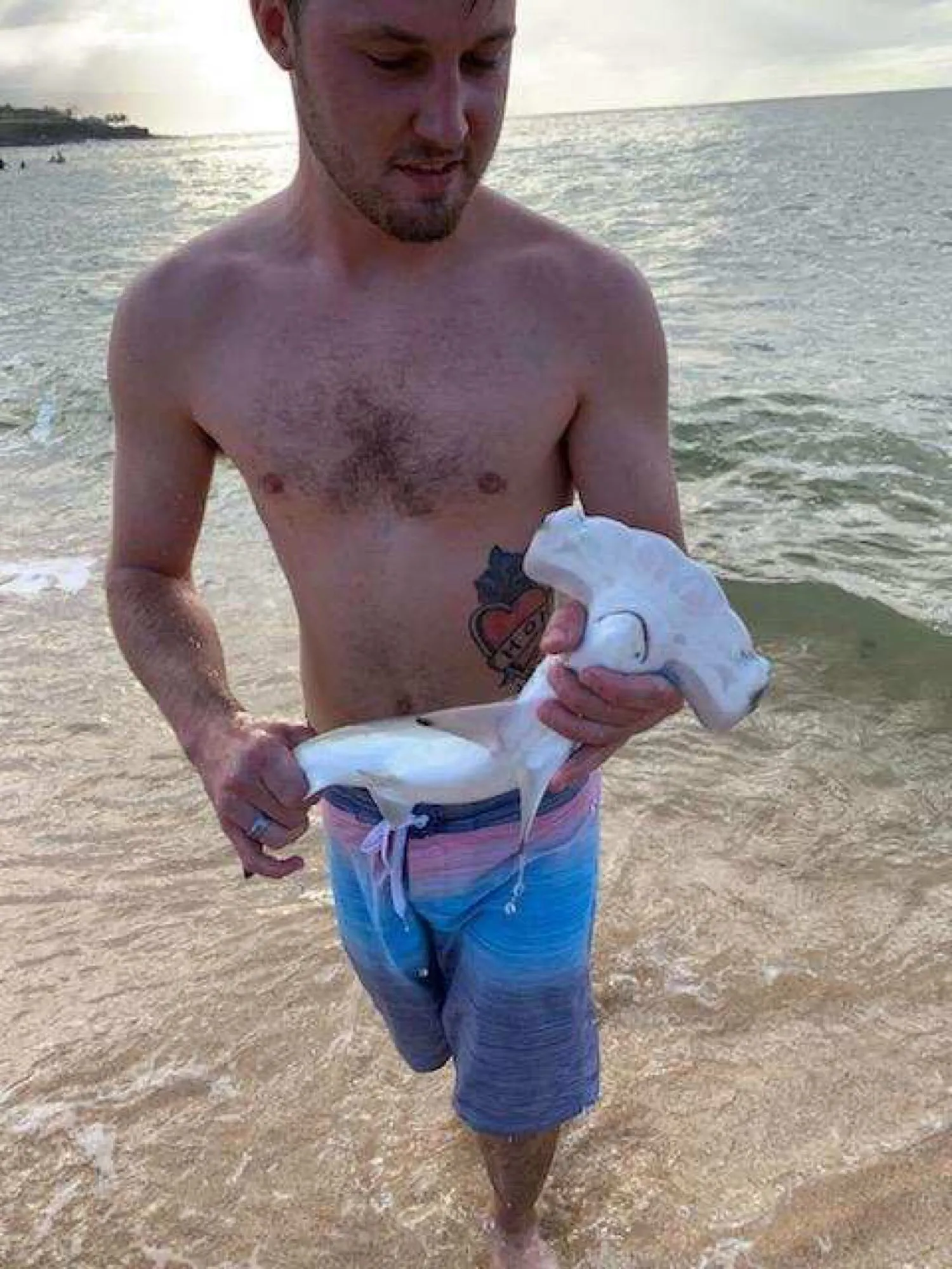 Post image from cmpyo