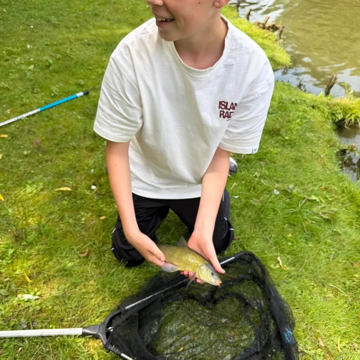 Common bream caught on Fishbrain