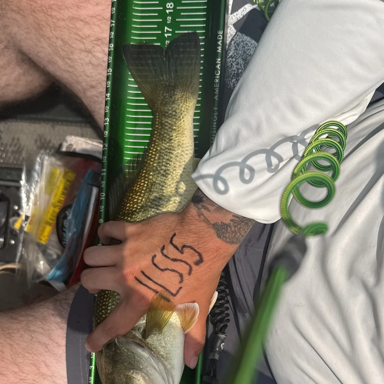 recently logged catches