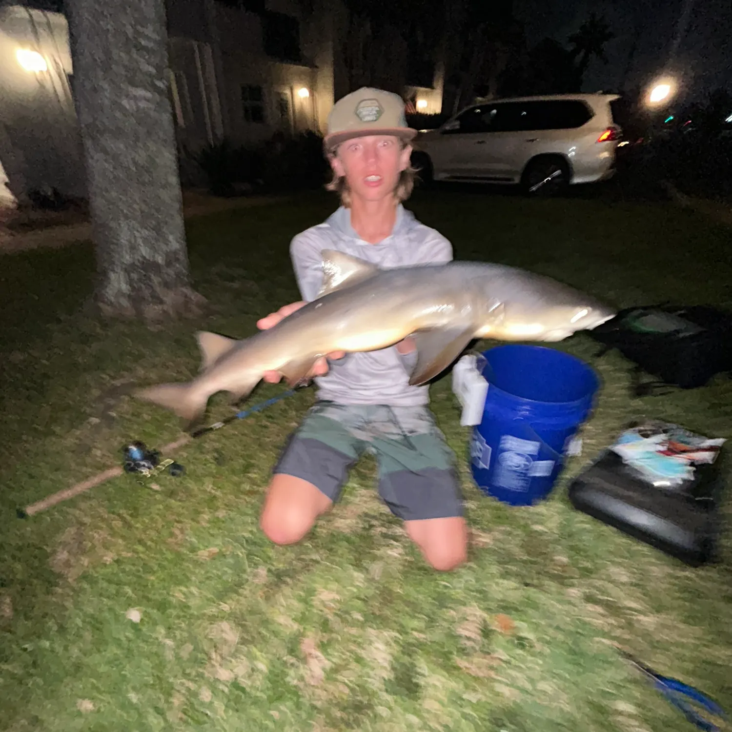 The most popular recent Bull shark catch on Fishbrain