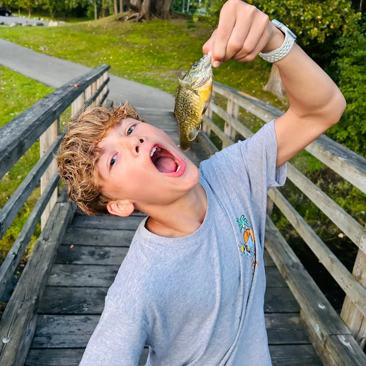 catch