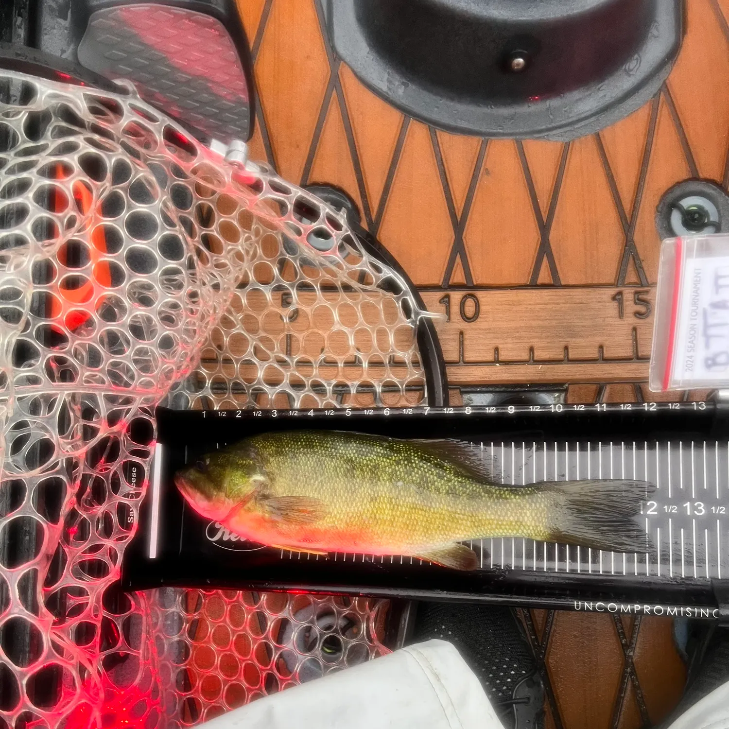 Smallmouth bass caught on Fishbrain