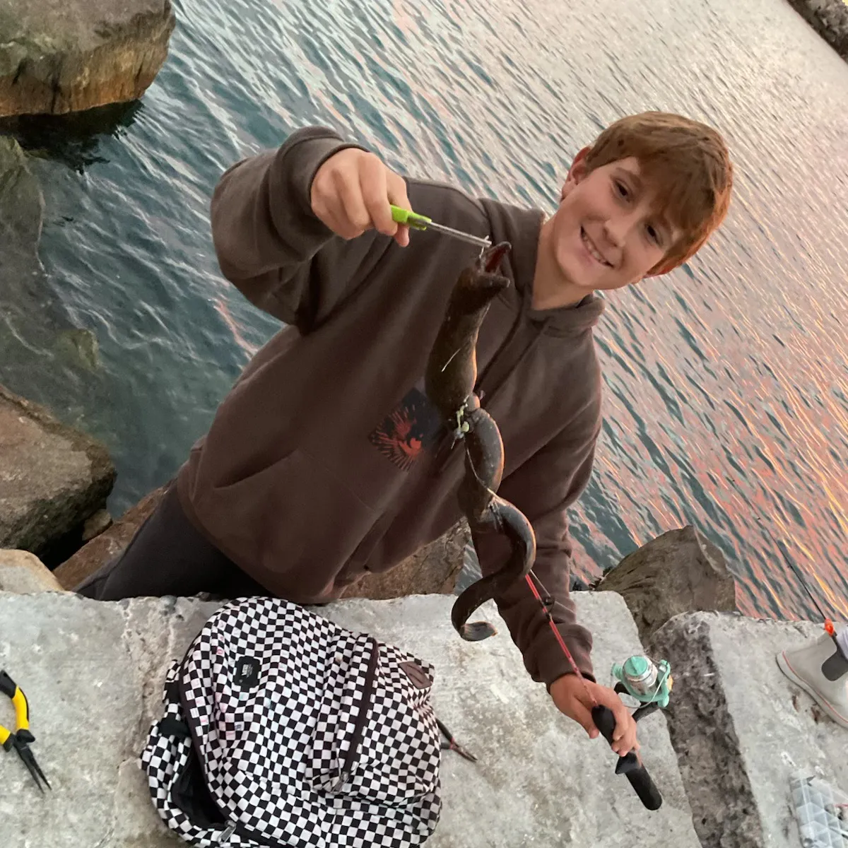 The most recent California moray catches on Fishbrain