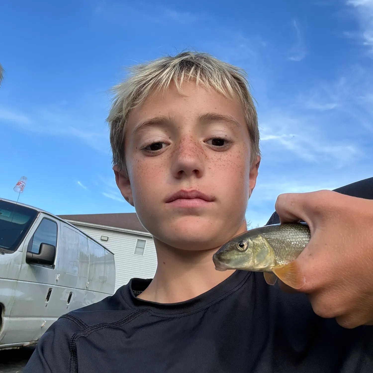 White sucker caught on Fishbrain