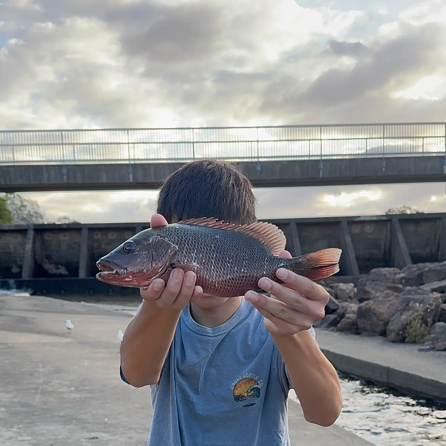 catch