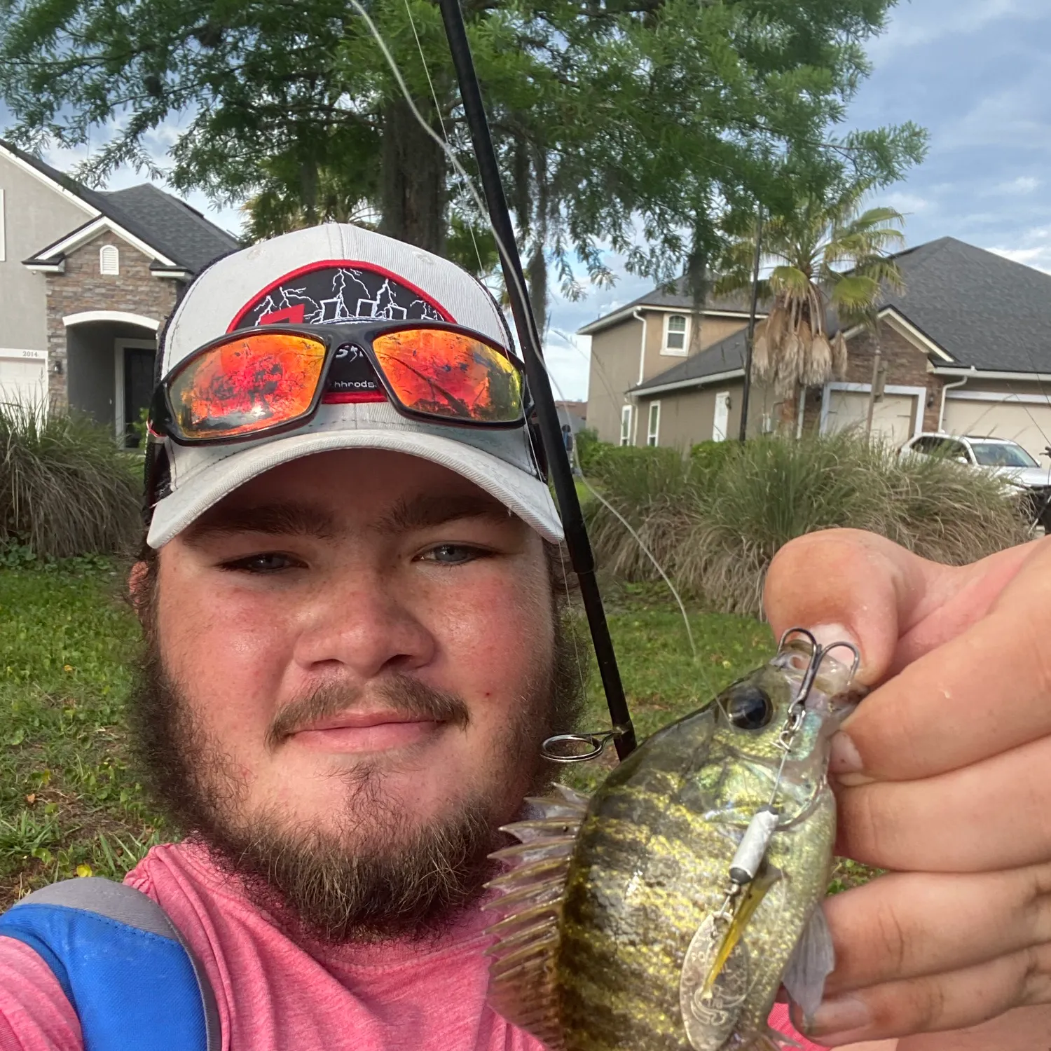 The most recent Wargill hybrid catches on Fishbrain