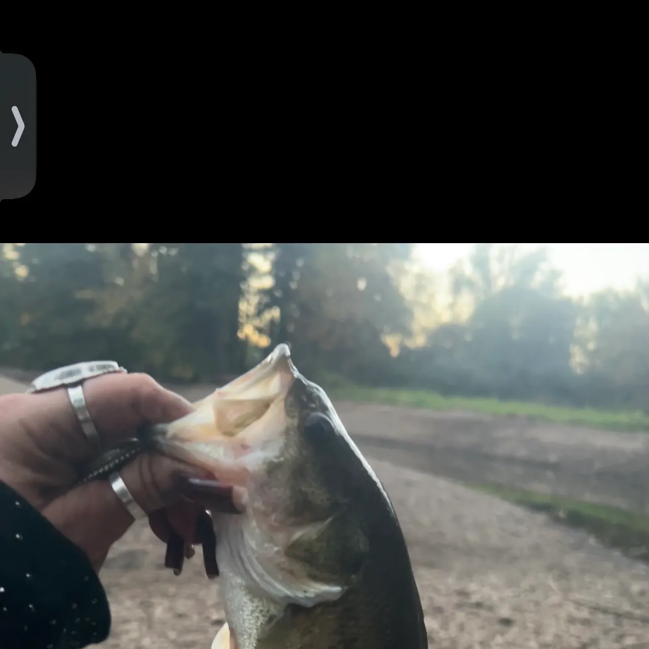 Largemouth bass caught on Fishbrain