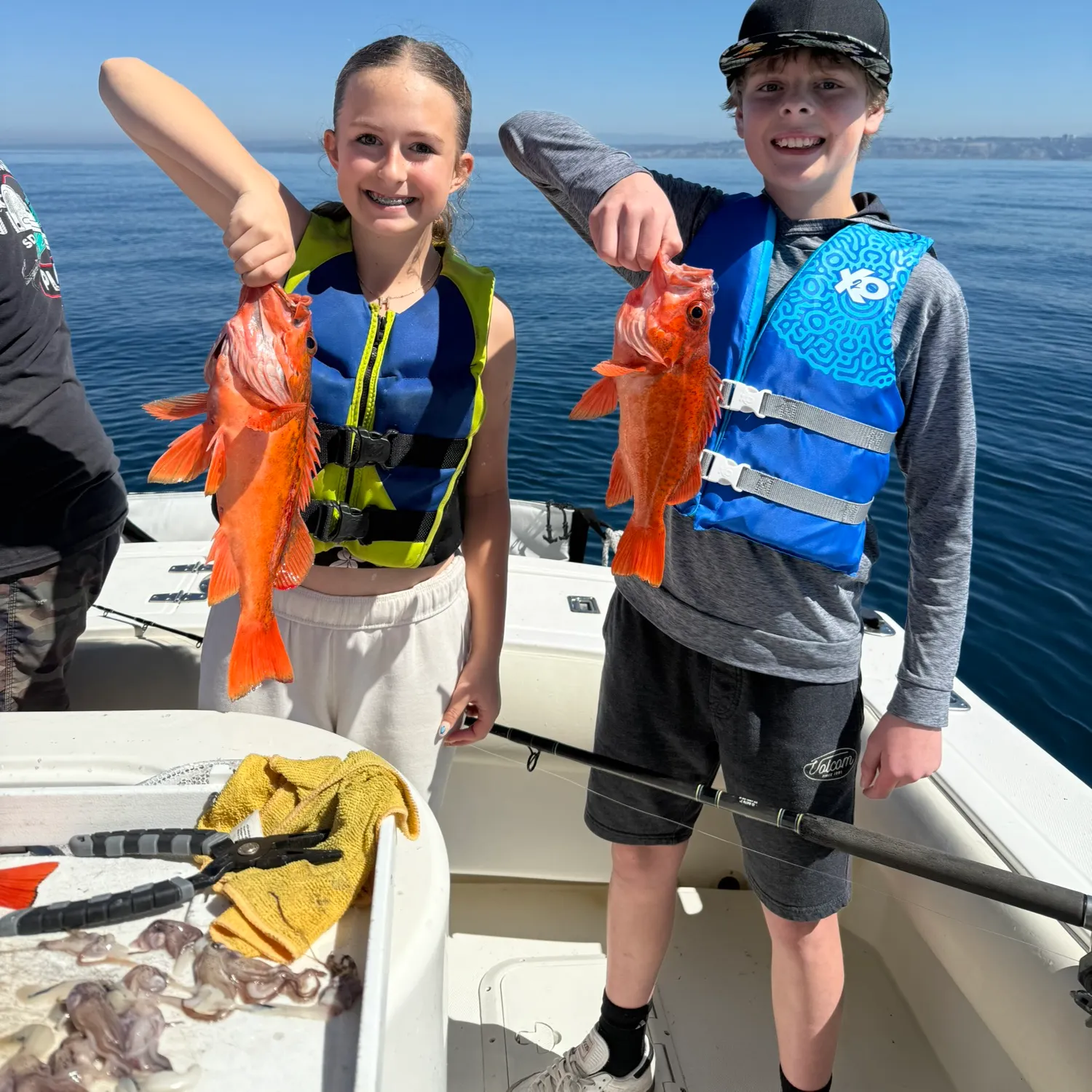 The most recent Vermilion rockfish catches on Fishbrain