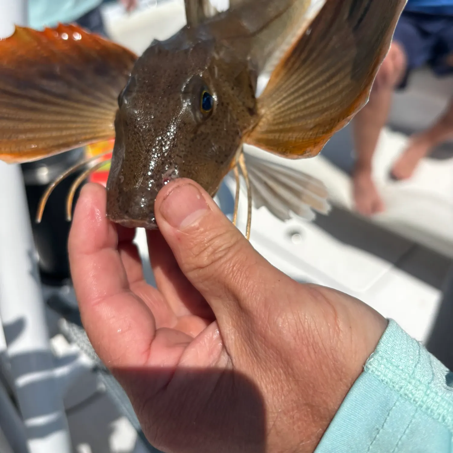 catch
