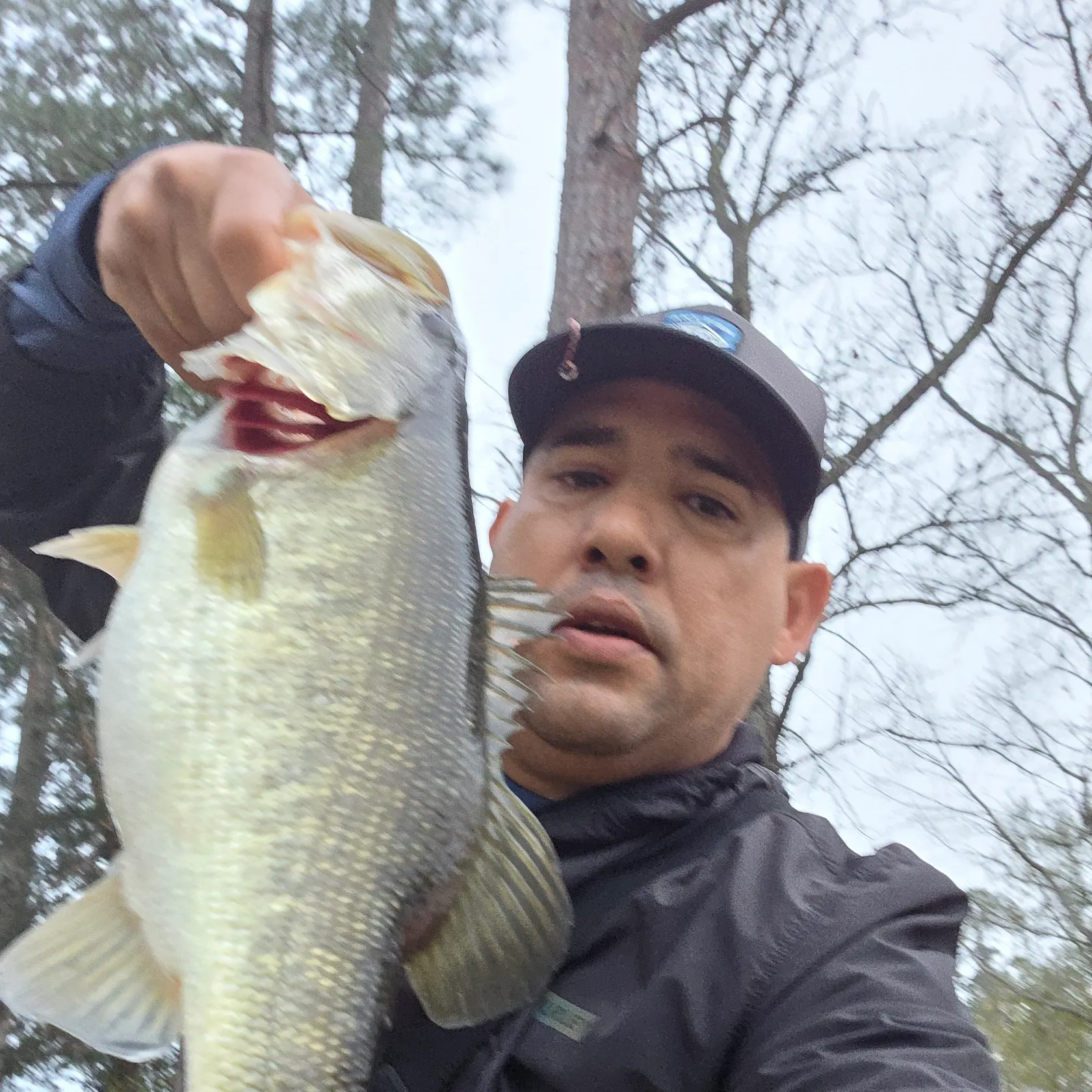 The most recent Largemouth bass catches on Fishbrain