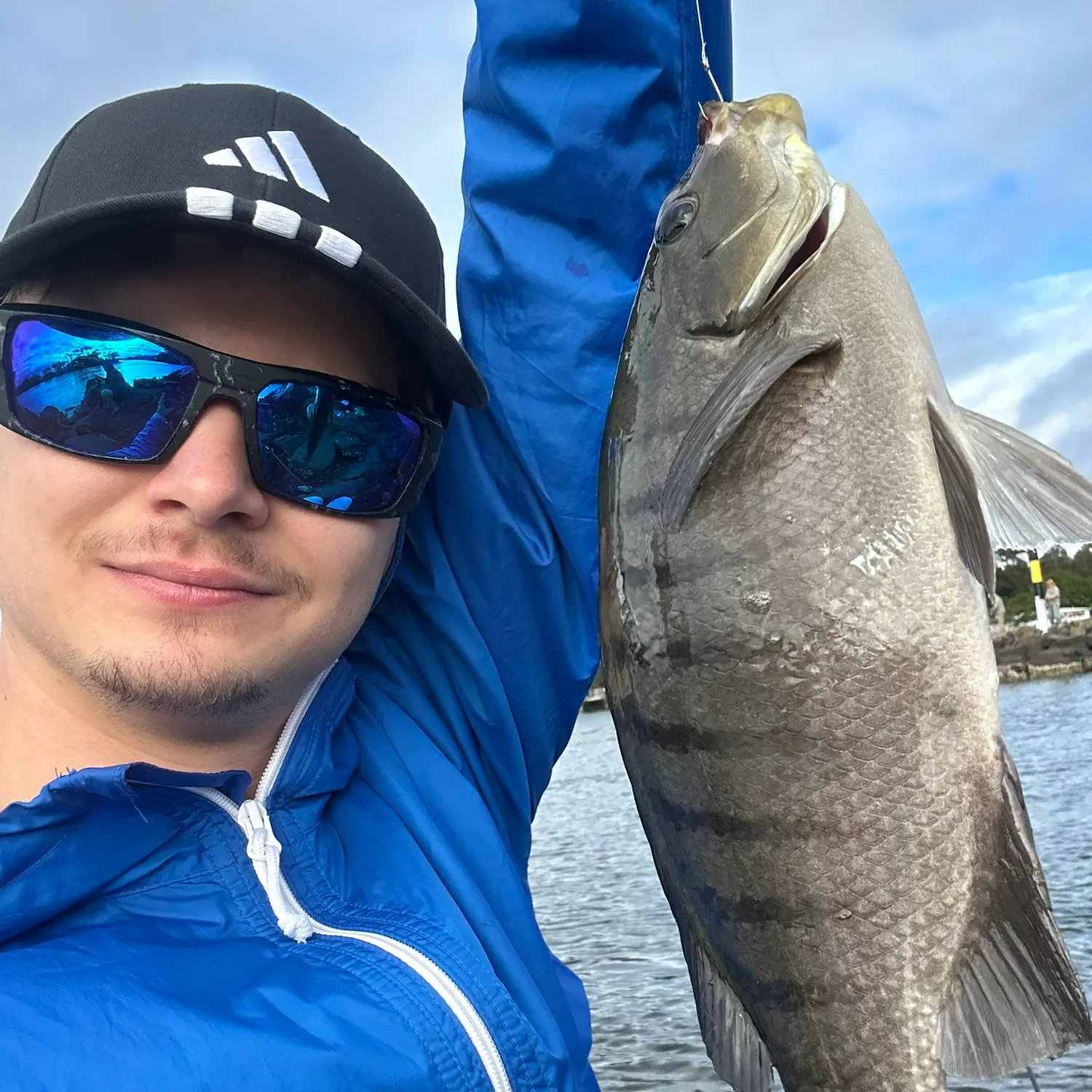 The most recent Luderick catches on Fishbrain