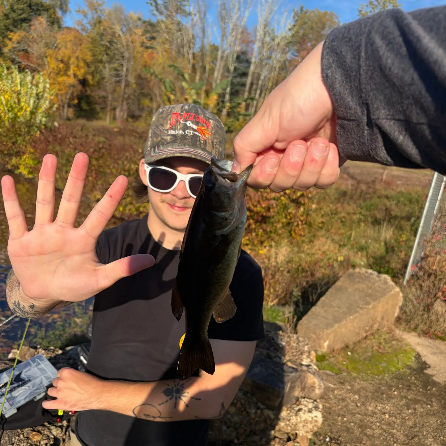Largemouth bass caught on Fishbrain