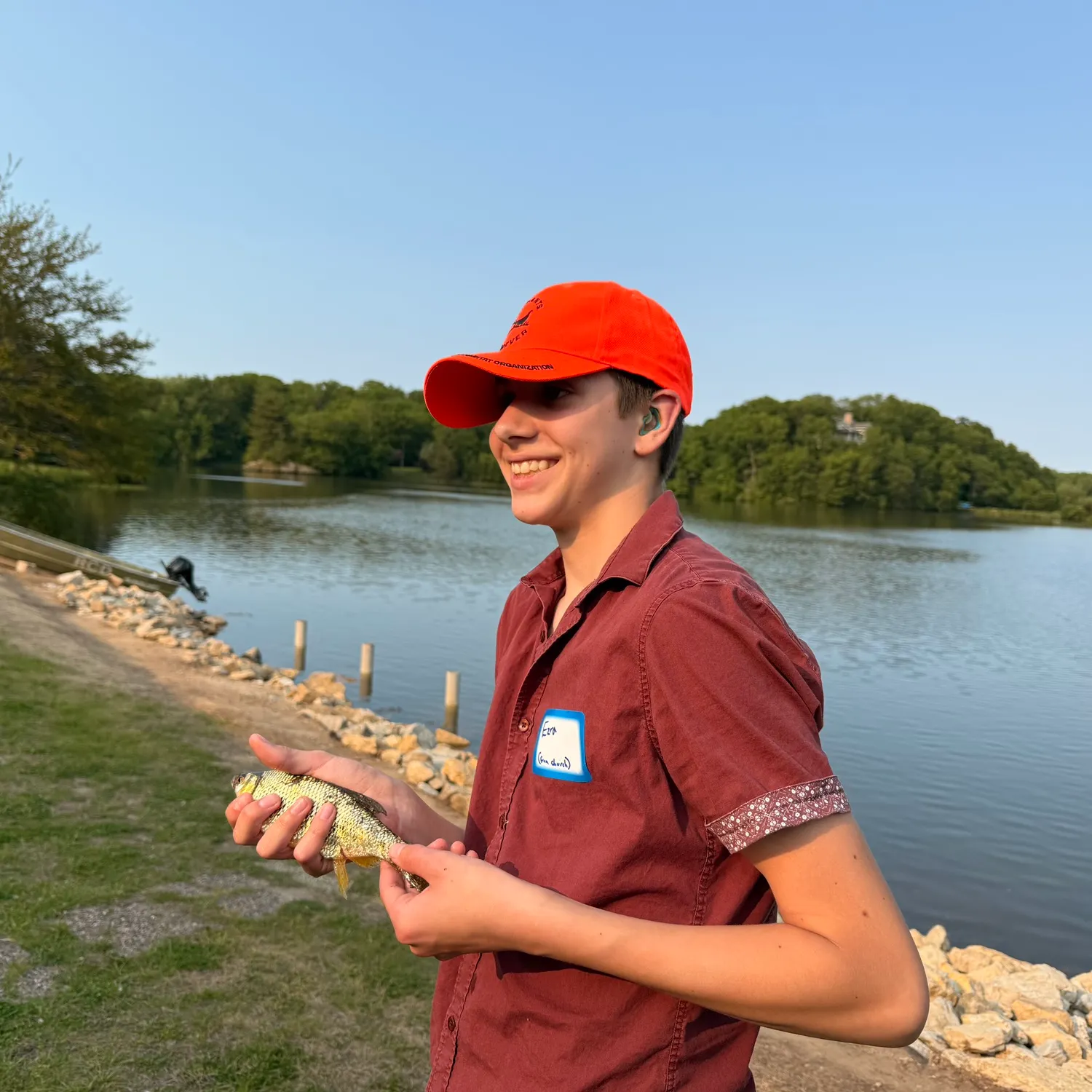The most recent Golden shiner catches on Fishbrain