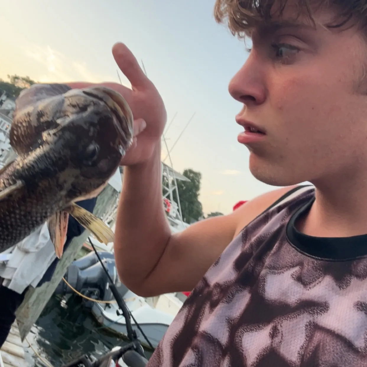 most liked catch image