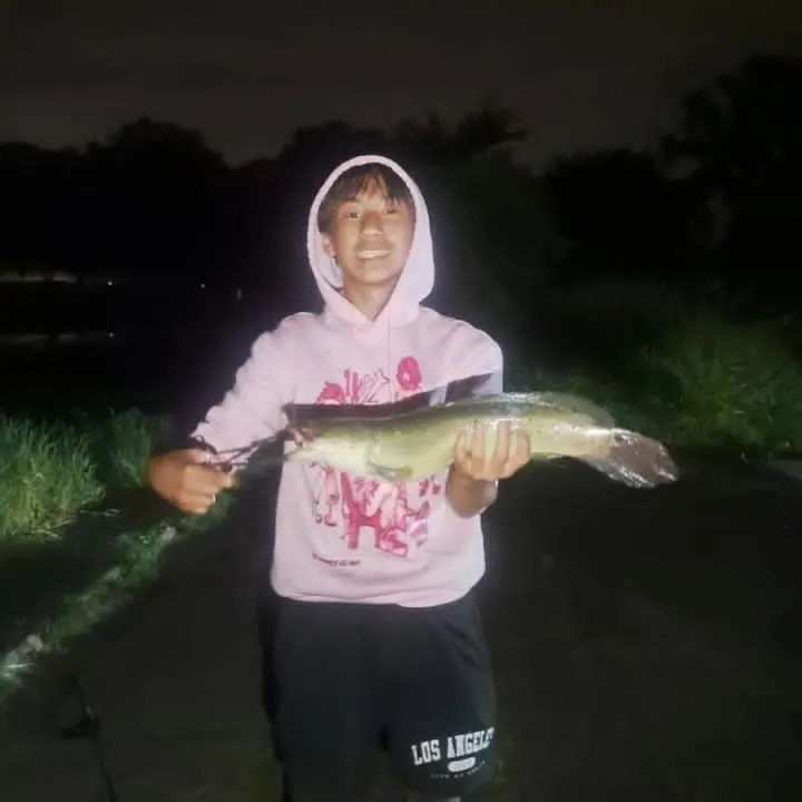 Eyetail bowfin caught on Fishbrain