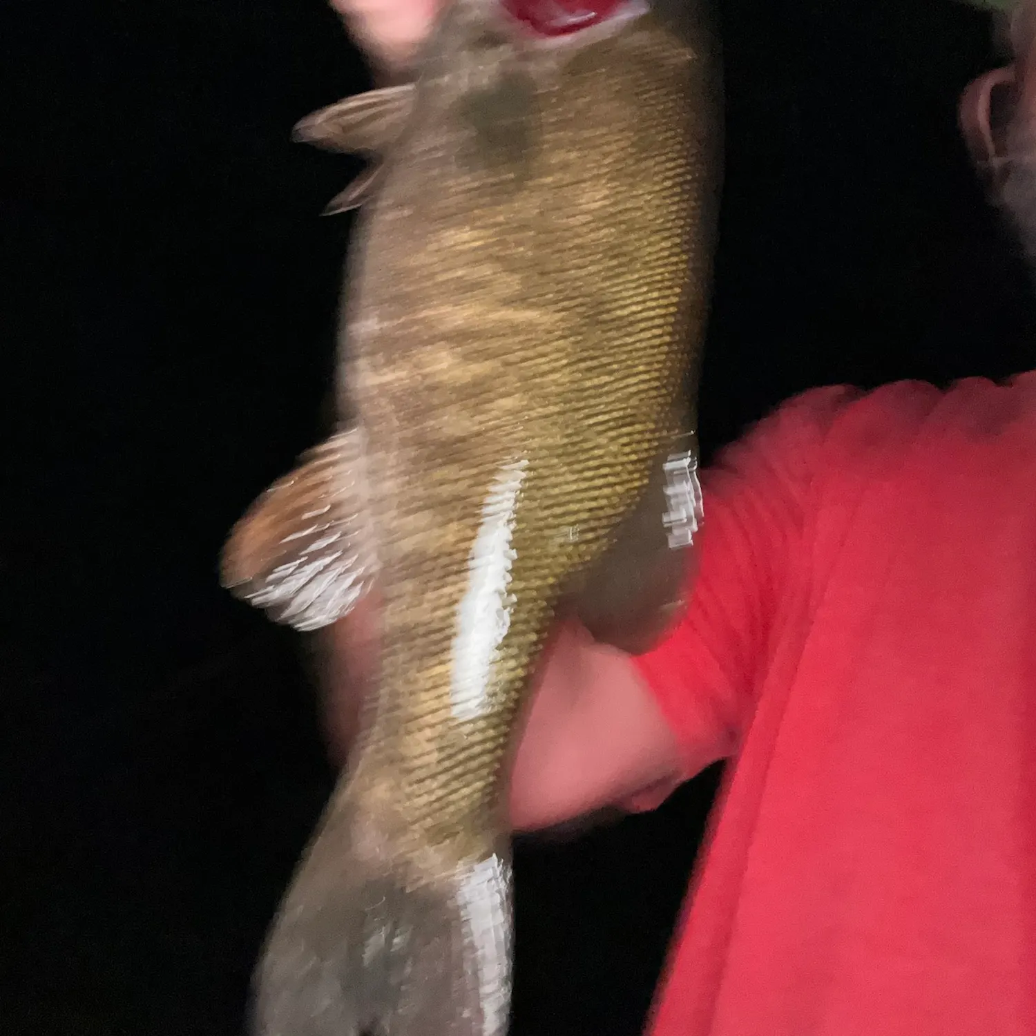 Smallmouth bass caught on Fishbrain