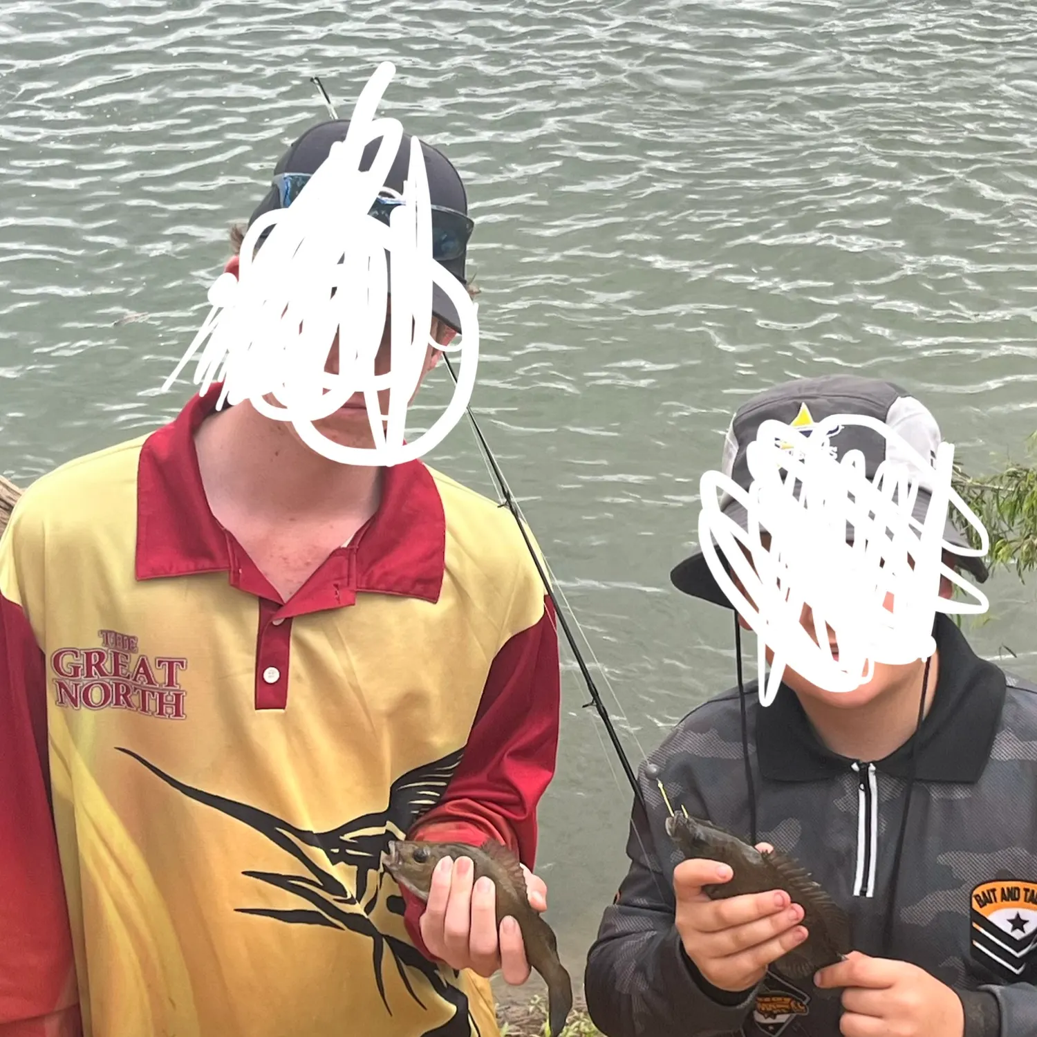 Sooty grunter caught on Fishbrain