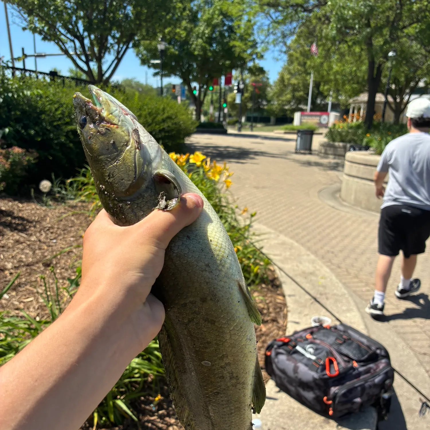 catch