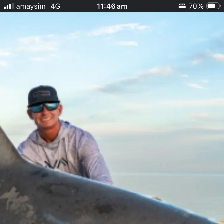 The most recent Indo-Pacific sailfish catches on Fishbrain