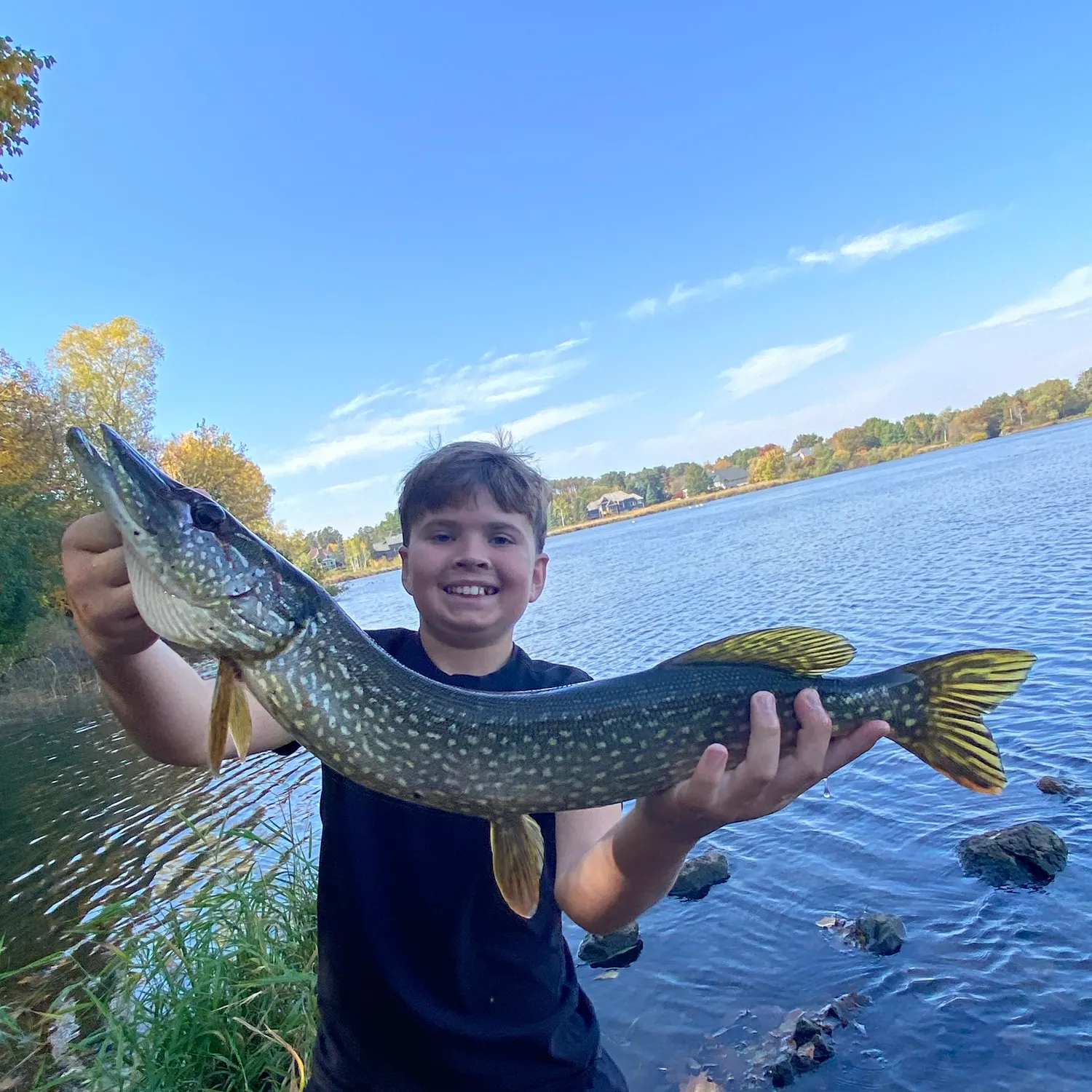 Northern pike caught on Fishbrain