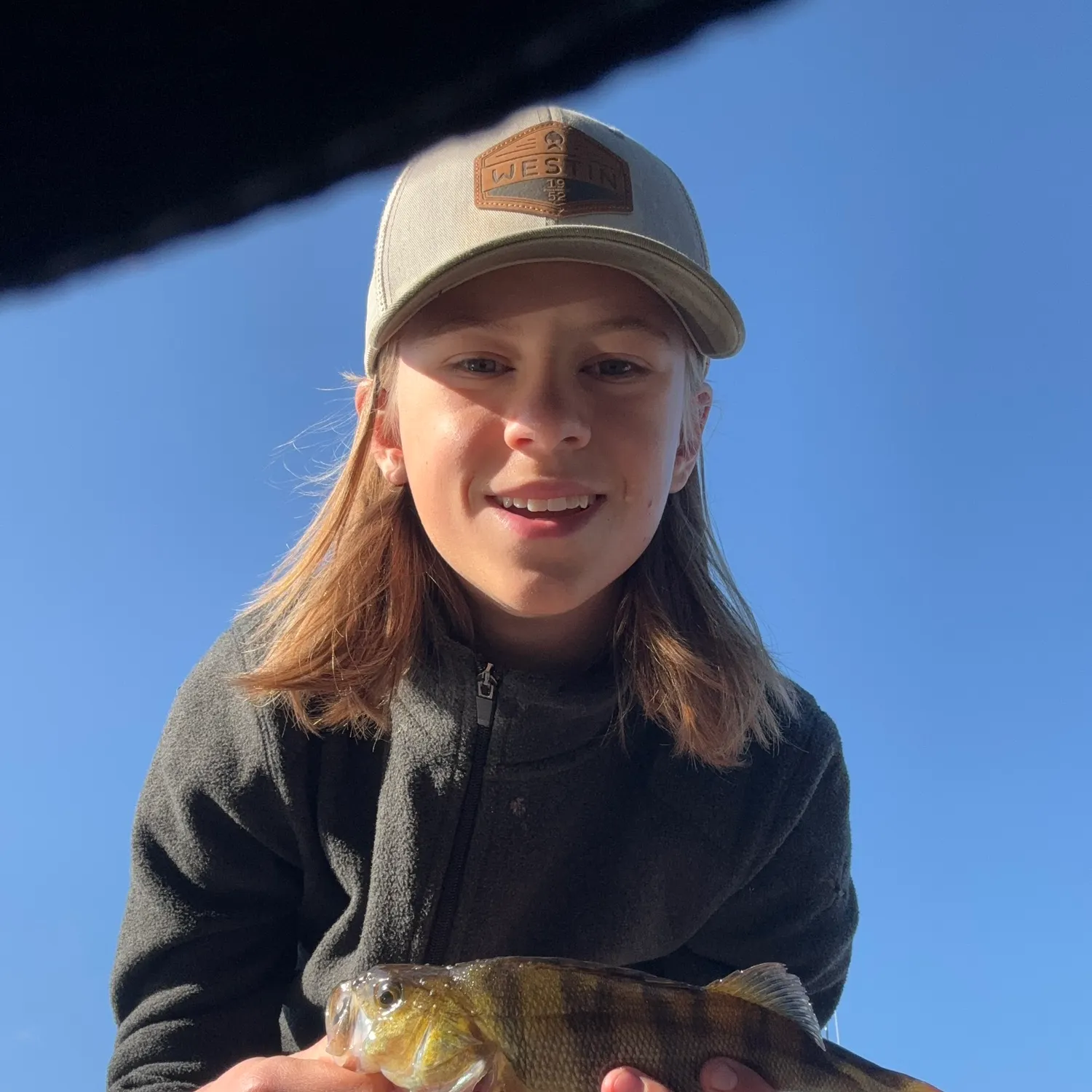 European perch caught on Fishbrain
