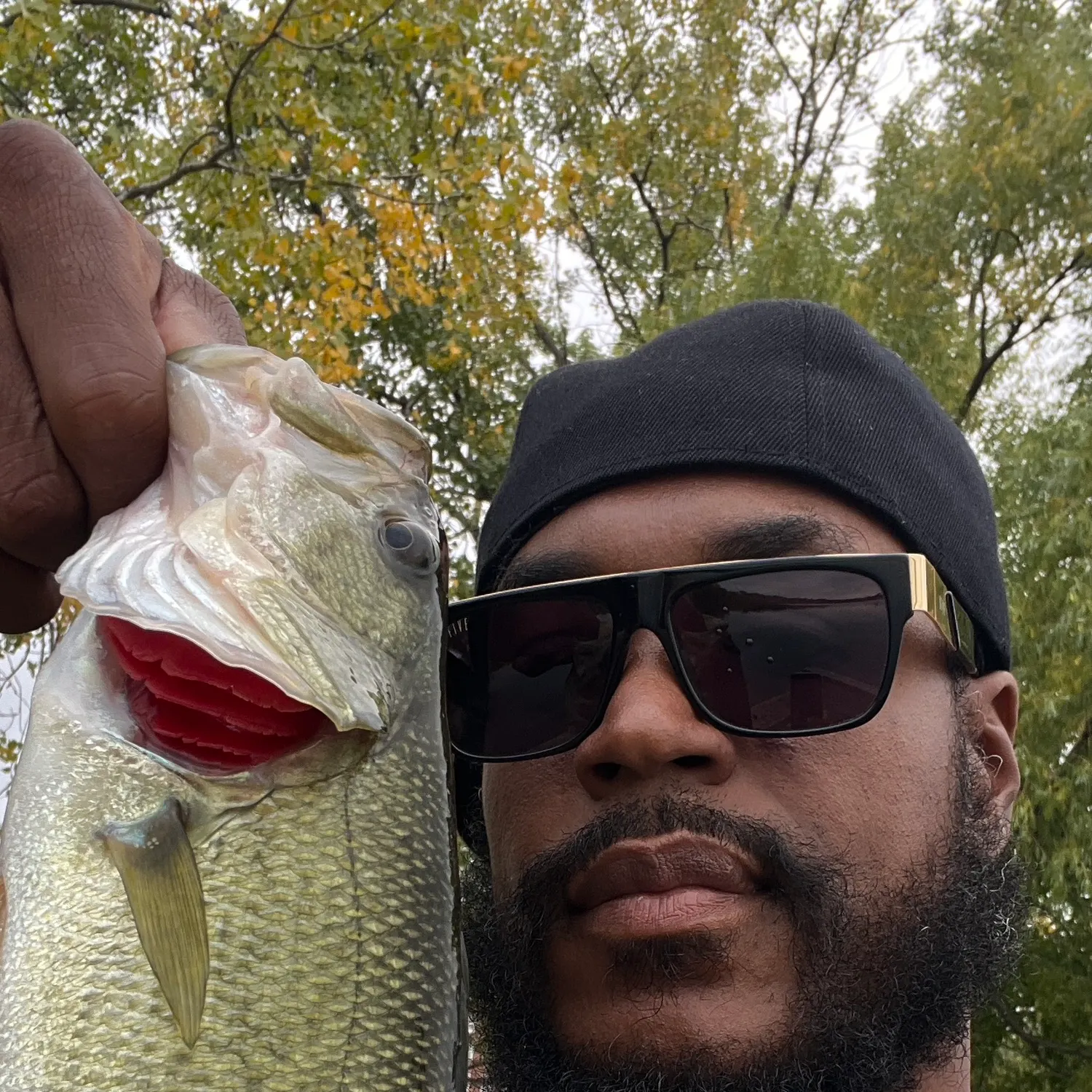 Largemouth bass caught on Fishbrain